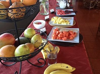 Healthy food including apples, banans, guava, pineapple nuts, oranges and more at the pura vida spa in costa rica yoga retreat