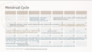 Menstrual Cycle Cheat Sheet Calendar Image
