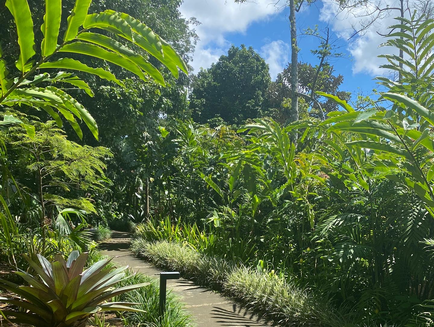 Costa Rica Hot Yoga retreat with YogaSol